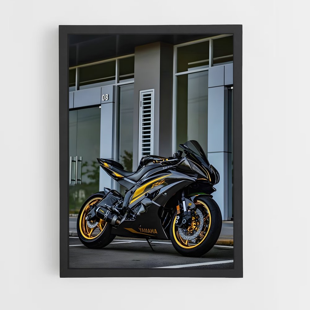 Poster Ninja Éclipsant 400 (vue 2)